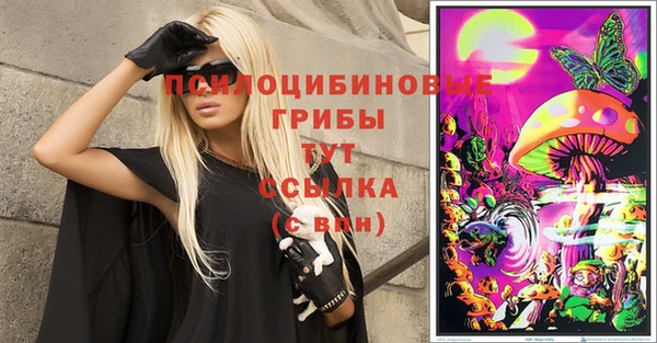 гидропоника Балахна