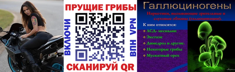 Купить закладки  Луга  Псилоцибиновые грибы MAGIC MUSHROOMS 
