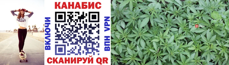 Купить  Луга  Каннабис план 